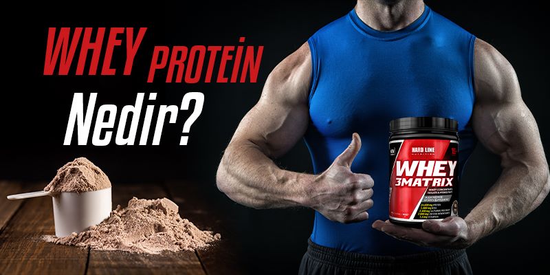 Whey Proteini Nedir?